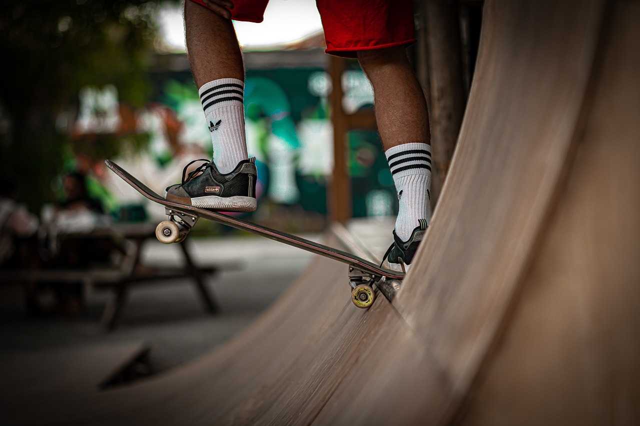 Cruiser Skateboards Longboard Shortboard Skatewear