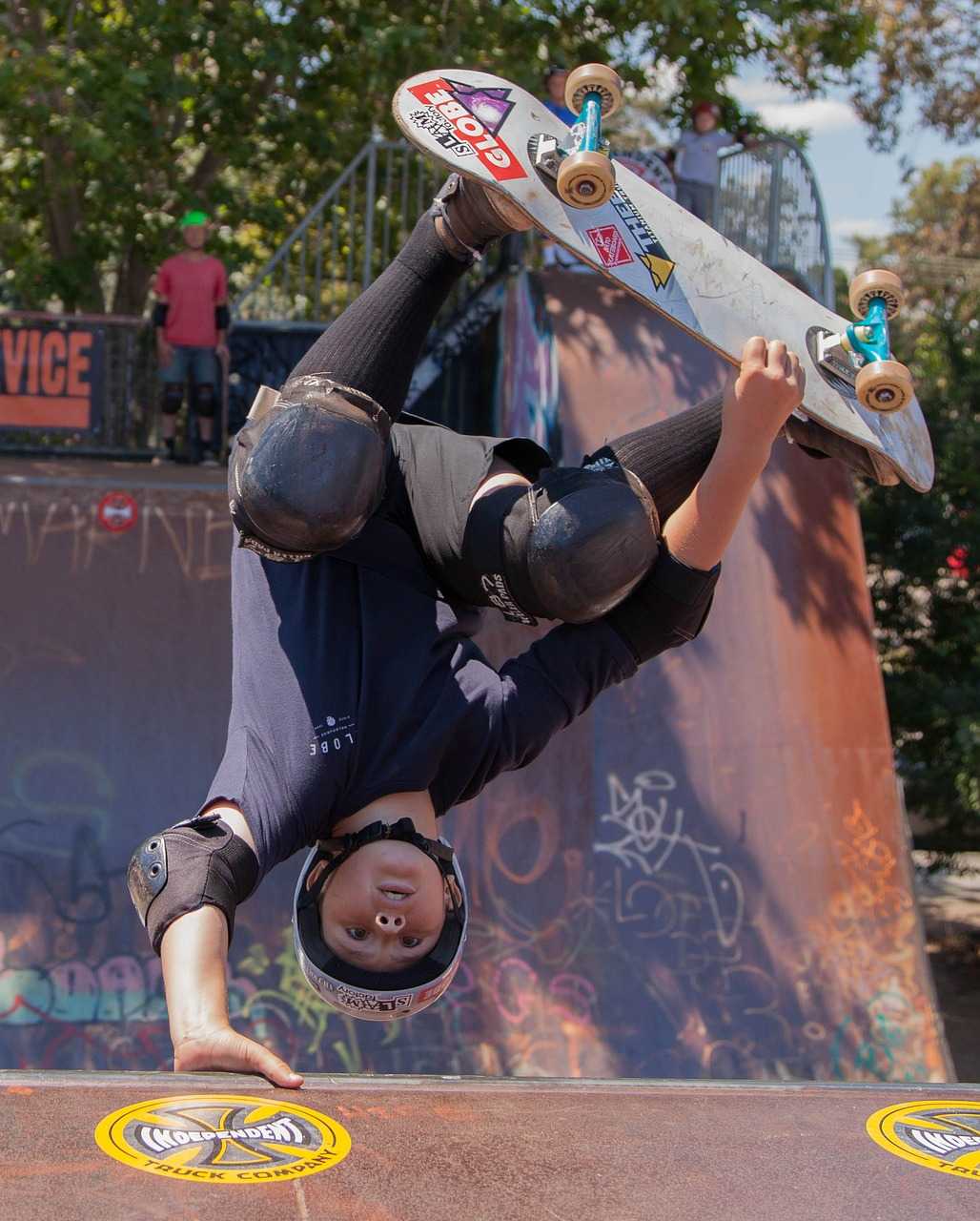 Cruiser Skateboards Longboard Shortboard Skatewear